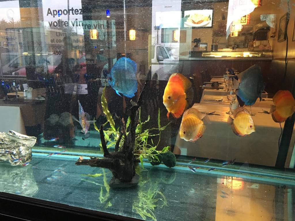 Fusion dAsie | restaurant | 1137 Rang Saint-François, Terrebonne, QC J6Y 0C7, Canada | 4508180728 OR +1 450-818-0728