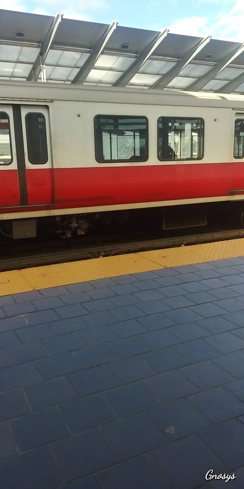 Golden Star Restaurant | restaurant | 1495 Dorchester Ave, Boston, MA 02124, USA | 6172881688 OR +1 617-288-1688