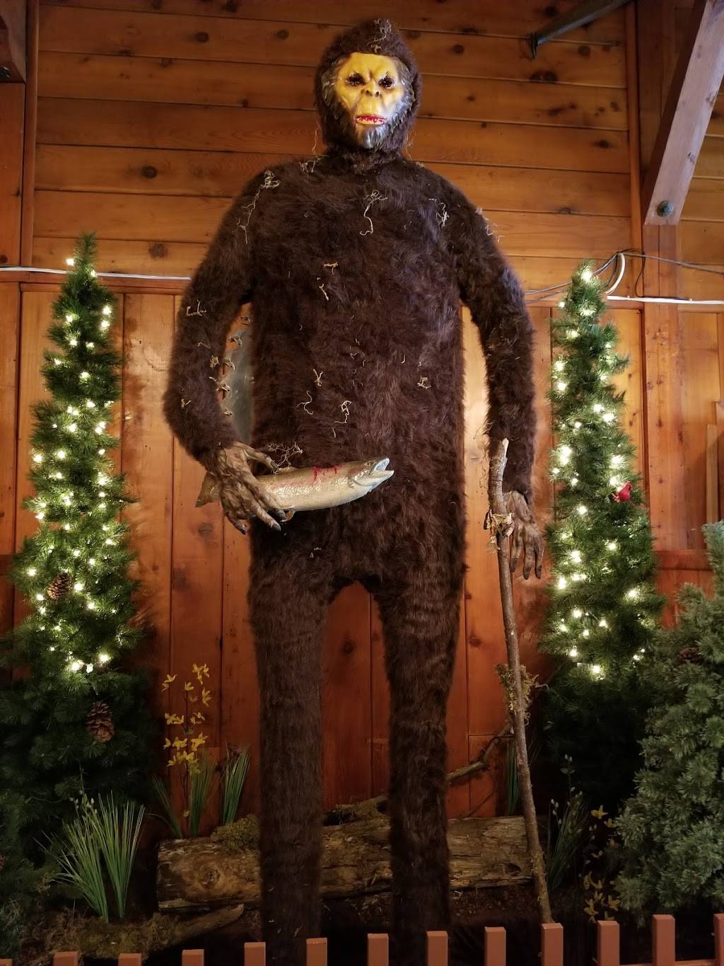 IKES PIZZA | restaurant | 44851 McKenzie Hwy, Leaburg, OR 97489, USA | 5418960017 OR +1 541-896-0017