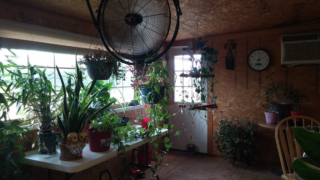 Country Cafe | restaurant | 113 E Washington St, Throckmorton, TX 76483, USA | 9408493044 OR +1 940-849-3044