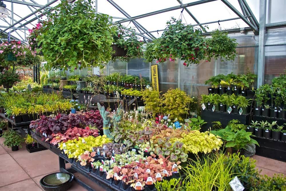 Cornell Farm | restaurant | 8212 SW Barnes Rd, Portland, OR 97225, USA | 5032929895 OR +1 503-292-9895