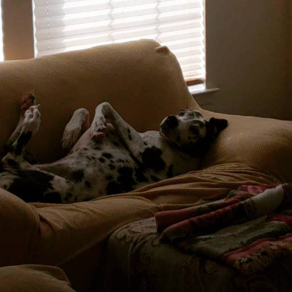 Starbucks | cafe | 4020 Nesconset Hwy, Setauket- East Setauket, NY 11733, USA | 6316420263 OR +1 631-642-0263