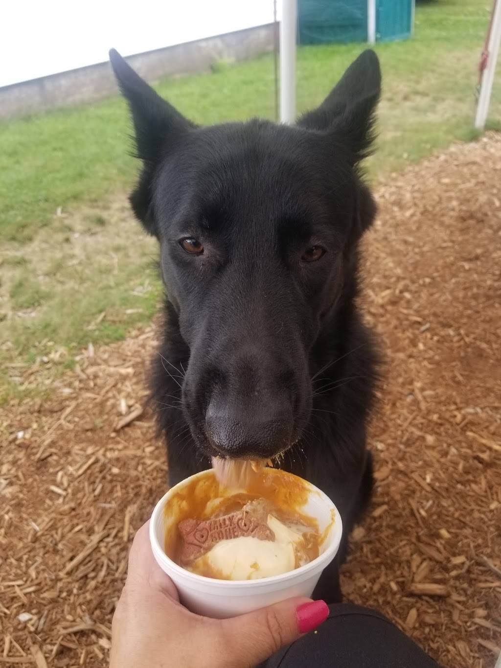 Pears Ice Cream & Hoagie Shop | meal takeaway | 974 Meadow Rd, Casco, ME 04015, USA | 2076276002 OR +1 207-627-6002