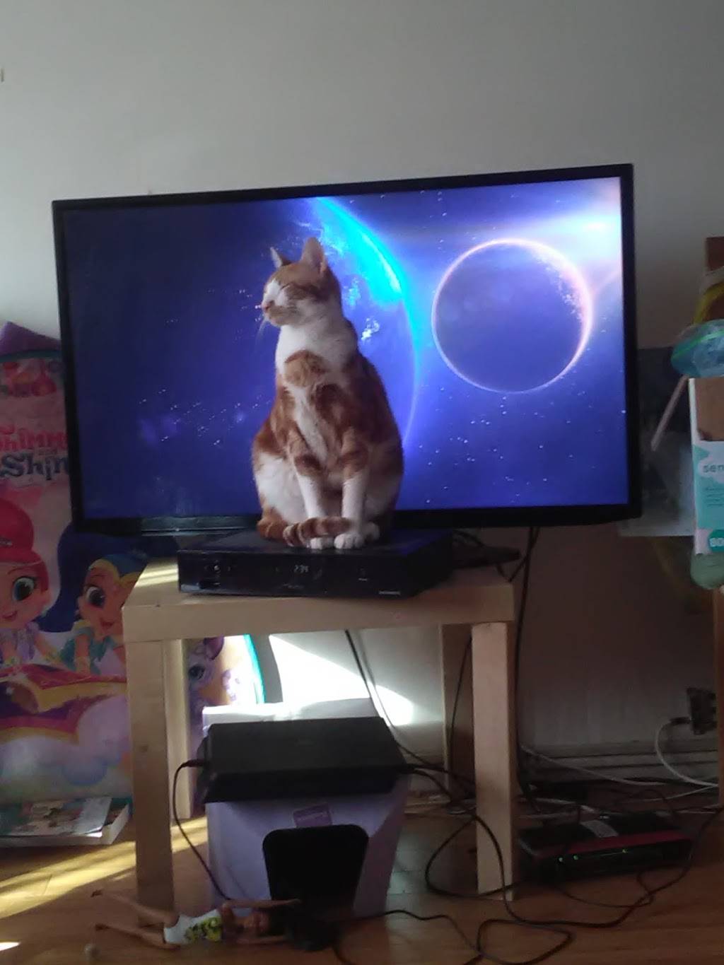 China King | restaurant | 2683 Pitkin Ave, Brooklyn, NY 11208, USA | 7182777113 OR +1 718-277-7113