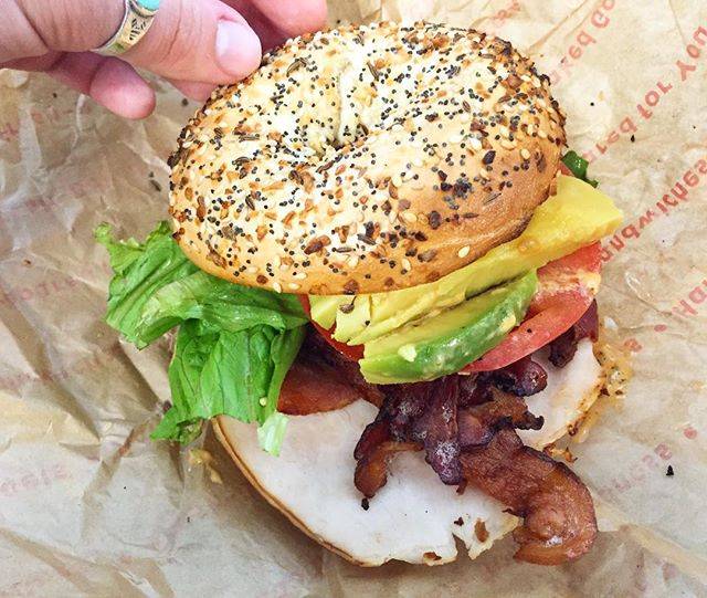Einstein Bros. Bagels | cafe | 5003 E Fowler Ave, Tampa, FL 33617, USA | 8139880088 OR +1 813-988-0088