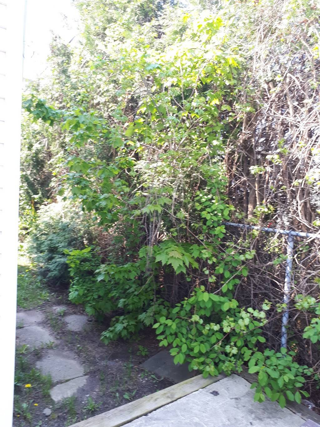 Restaurant Lee | restaurant | 96 Chemin de Montréal E, Gatineau, QC J8M 1C8, Canada | 8199862727 OR +1 819-986-2727