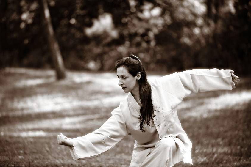 Gold Summit Kungfu Tai Chi Institute | restaurant | 255 Great Arrow Ave suite 112, Buffalo, NY 14207, USA | 7168743939 OR +1 716-874-3939