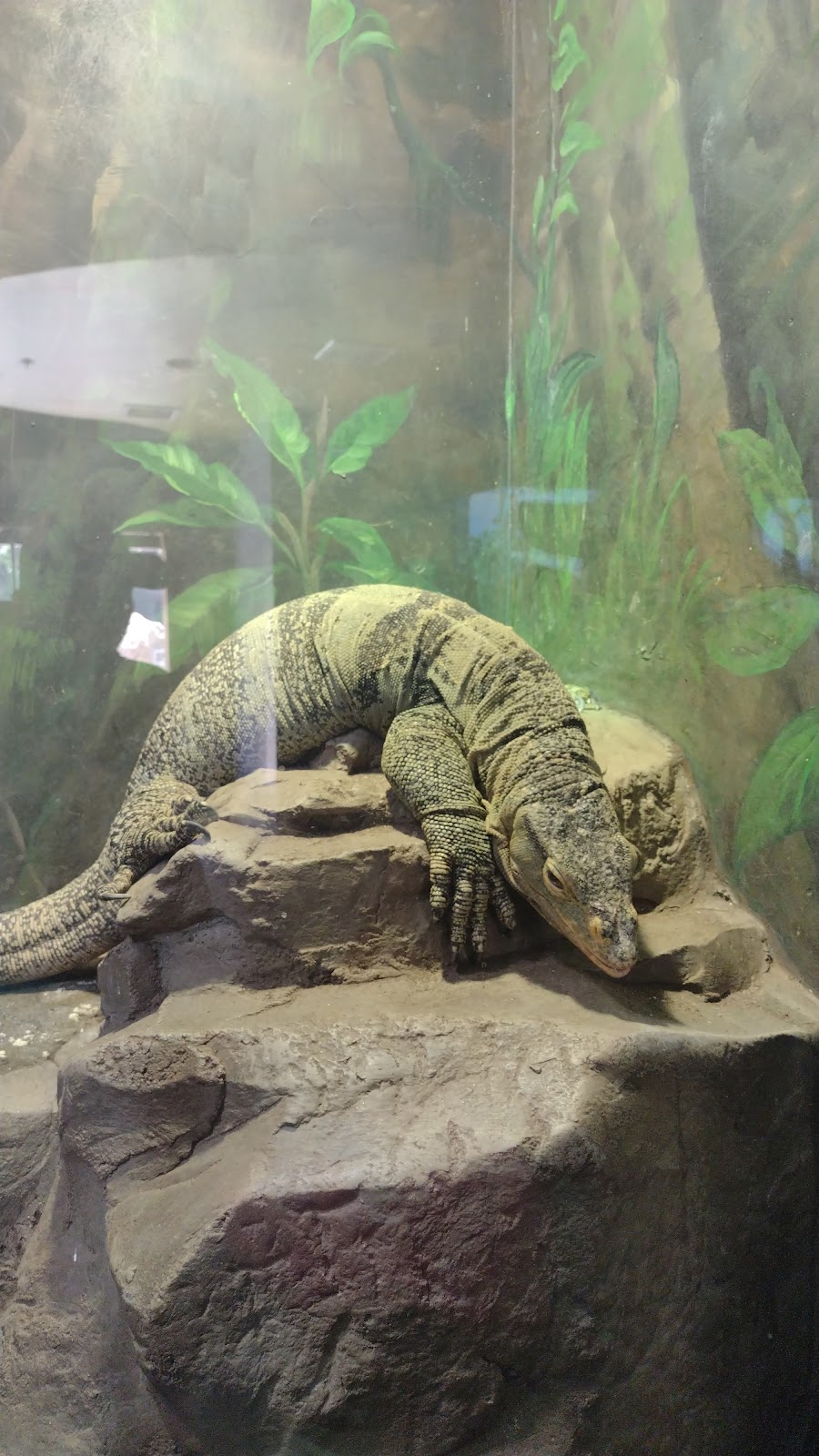 Zoo Grill | cafe | Los Angeles Zoo, Los Angeles, CA 90027, USA | 3236444200 OR +1 323-644-4200