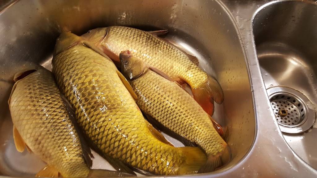 Pizza Nova Express | restaurant | 3836 W 79th St, Chicago, IL 60652, USA | 7737673000 OR +1 773-767-3000