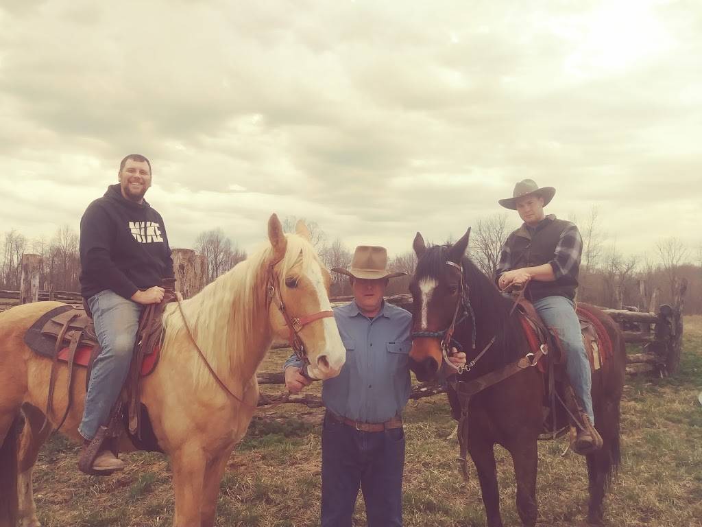 Wendys | restaurant | 740 Clifty Dr, Madison, IN 47250, USA | 8122731002 OR +1 812-273-1002