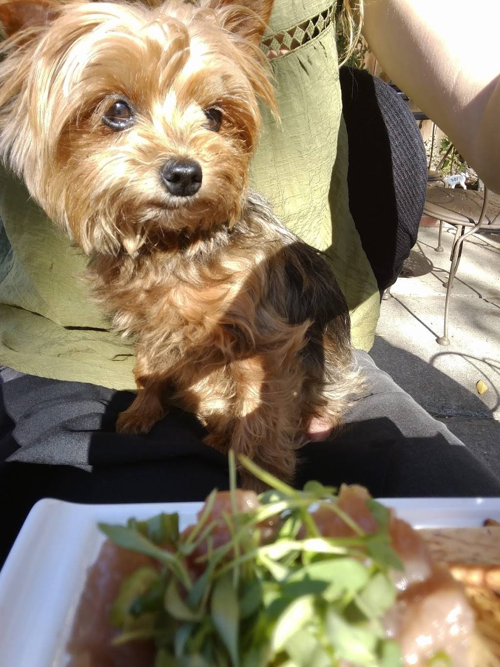 ROUX | restaurant | 6 Pilot Rd, Carmel Valley, CA 93924, USA | 8316595020 OR +1 831-659-5020