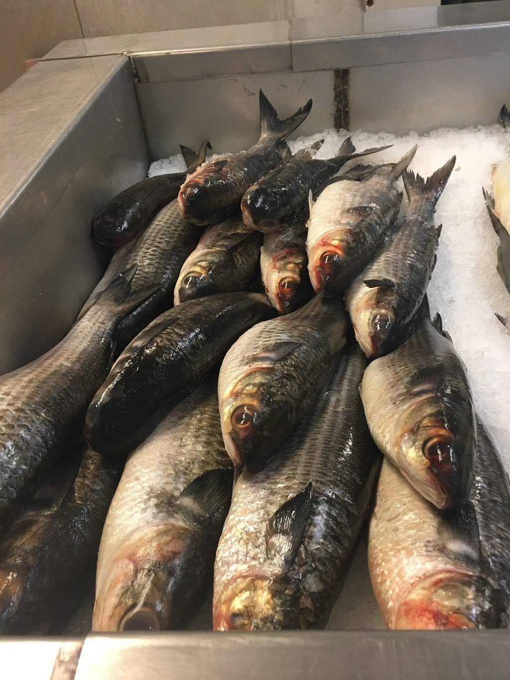 Fresh Catch Seafood Market & Carryout Restaurant | meal takeaway | 101 Hoskins St, High Point, NC 27260, USA | 3368844110 OR +1 336-884-4110