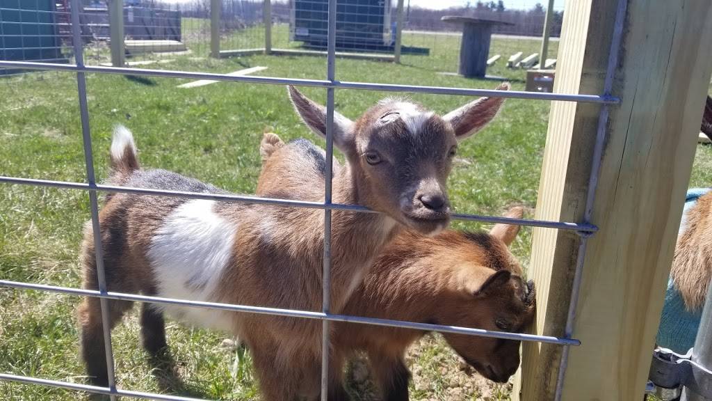 Sticks-N-Stones | restaurant | 21723 W Cannonsville Rd, Pierson, MI 49339, USA | 6166368677 OR +1 616-636-8677