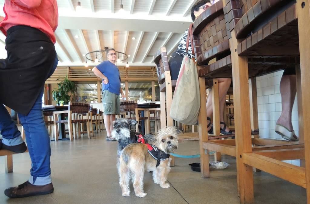 Tommy Bahama Restaurant, Bar & Store | restaurant | Downtown, 400 S Coast Hwy, Laguna Beach, CA 92651, USA | 9493766886 OR +1 949-376-6886