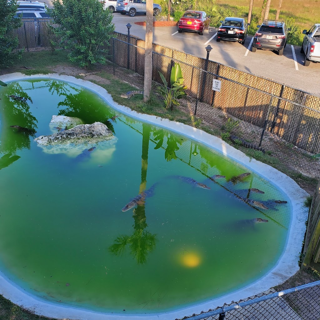 Bayou Bills Crab House | restaurant | 23100 Front Beach Rd, Panama City Beach, FL 32413, USA | 8502351010 OR +1 850-235-1010