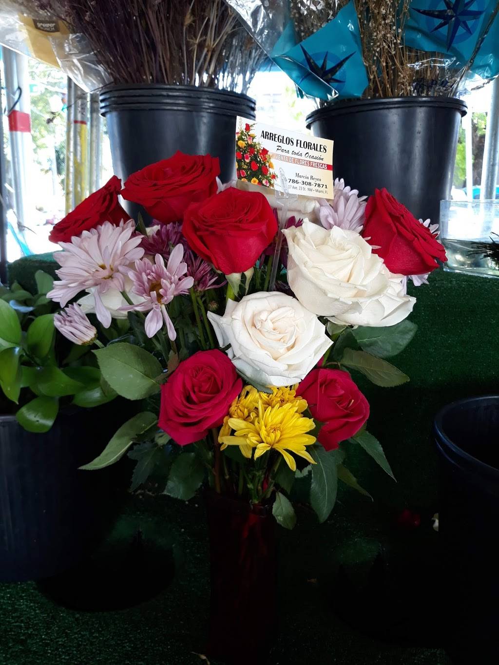 Don Toston | restaurant | 2234 NW 17th Ave, Miami, FL 33142, USA | 3056331919 OR +1 305-633-1919