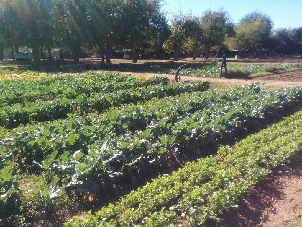 The Farm at South Mountain | restaurant | 6106 S 32nd St, Phoenix, AZ 85042, USA | 6022766360 OR +1 602-276-6360