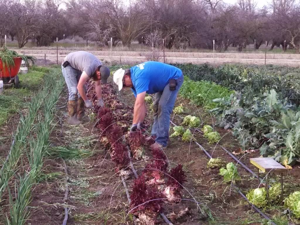 Lockewood Acres | restaurant | 7781 Locke Rd, Vacaville, CA 95688, USA | 7076240831 OR +1 707-624-0831