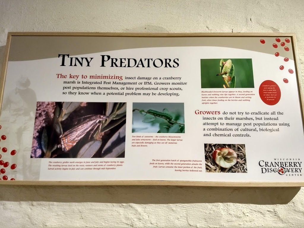 Wisconsin Cranberry Discovery Center & Cranberry Country Cafe | cafe | 204 Main Street, Warrens, WI 54666, USA | 6083784878 OR +1 608-378-4878