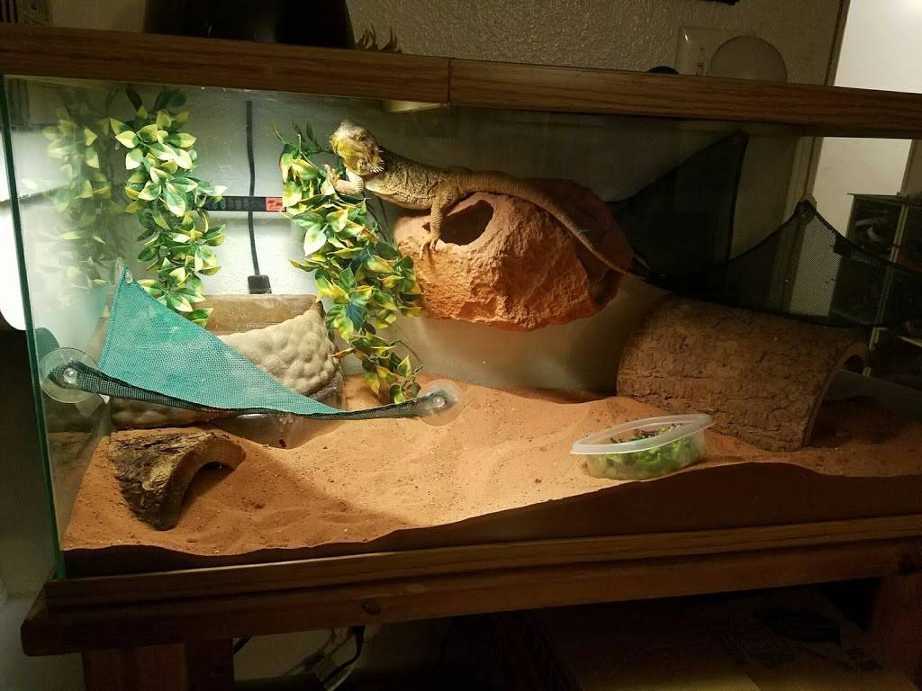 Timbers Bar & Gill | restaurant | 6330 E Lake Mead Blvd, Las Vegas, NV 89156, USA | 7024594232 OR +1 702-459-4232