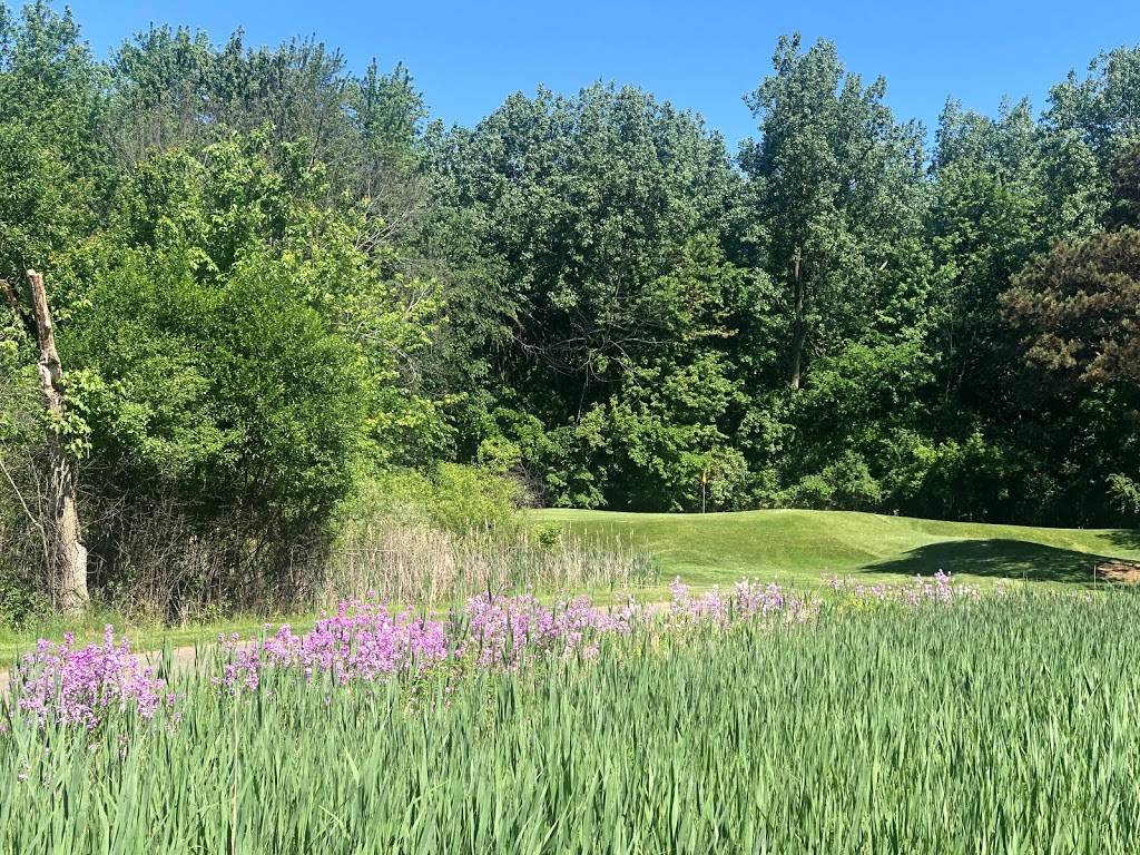 Pine Trace Golf Club | restaurant | 3600 Pine Trace Blvd, Rochester Hills, MI 48309, USA | 2488527100 OR +1 248-852-7100