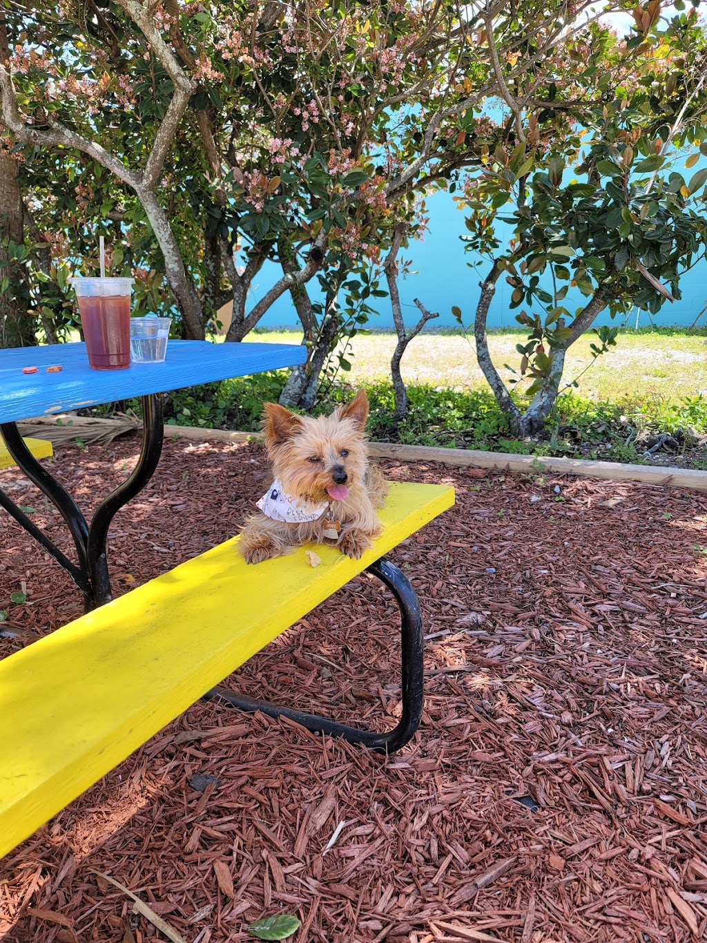 Scooter’s Chicken & More | restaurant | 405 Baltzell Ave, Port St Joe, FL 32456, USA | 8502271266 OR +1 850-227-1266