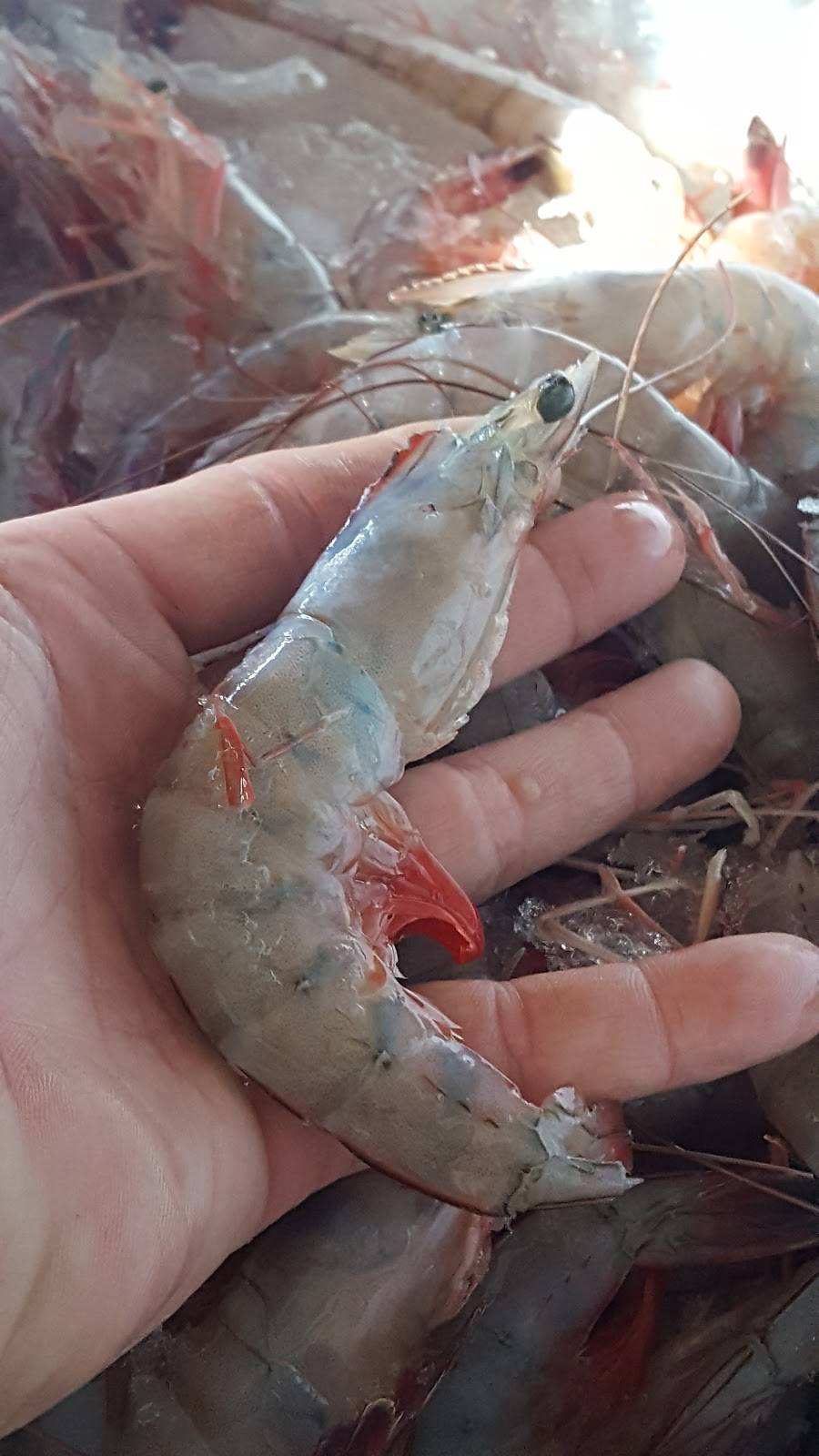 Teddys kitchen | restaurant | 606 Union Rd, Tylertown, MS 39667, USA | 6018275008 OR +1 601-827-5008