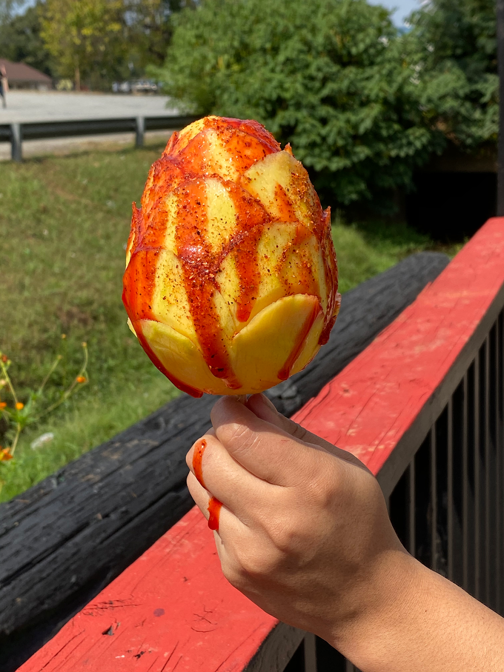 Taqueria Estrella Roja | restaurant | 306 Cherry St Suite A, LaGrange, GA 30240, USA | 7063337629 OR +1 706-333-7629