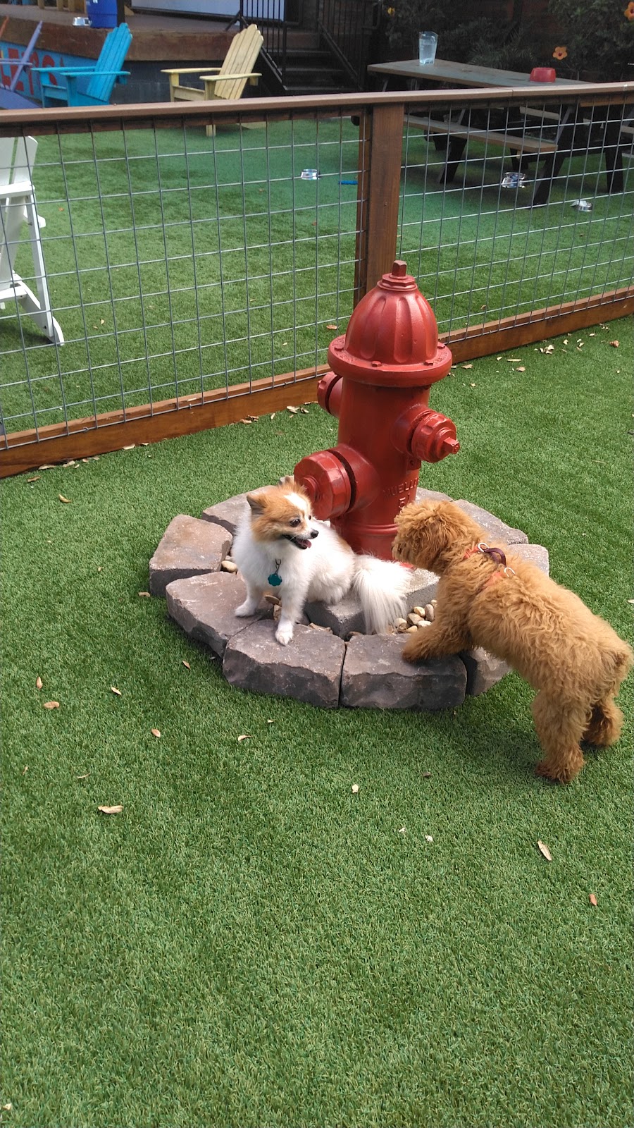 Gyroland (Food Truck) | restaurant | 2300 Louisiana St, Houston, TX 77006, USA | 8325201734 OR +1 832-520-1734