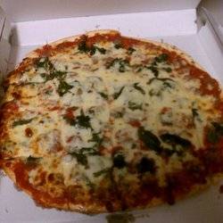 Cochiaros Pizza | restaurant | 3553 N Central Ave, Chicago, IL 60634, USA | 7734815388 OR +1 773-481-5388