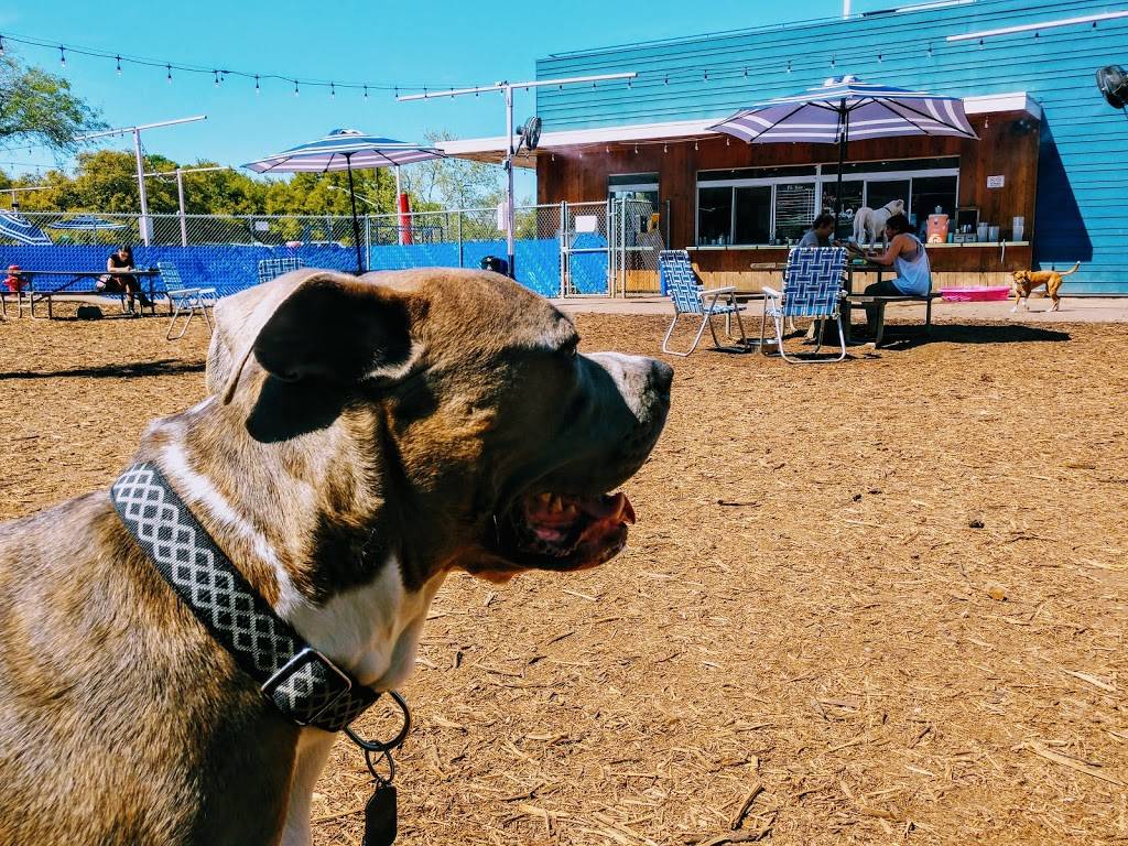 Yard Bar | restaurant | 6700 Burnet Rd, Austin, TX 78757, USA | 5129003773 OR +1 512-900-3773