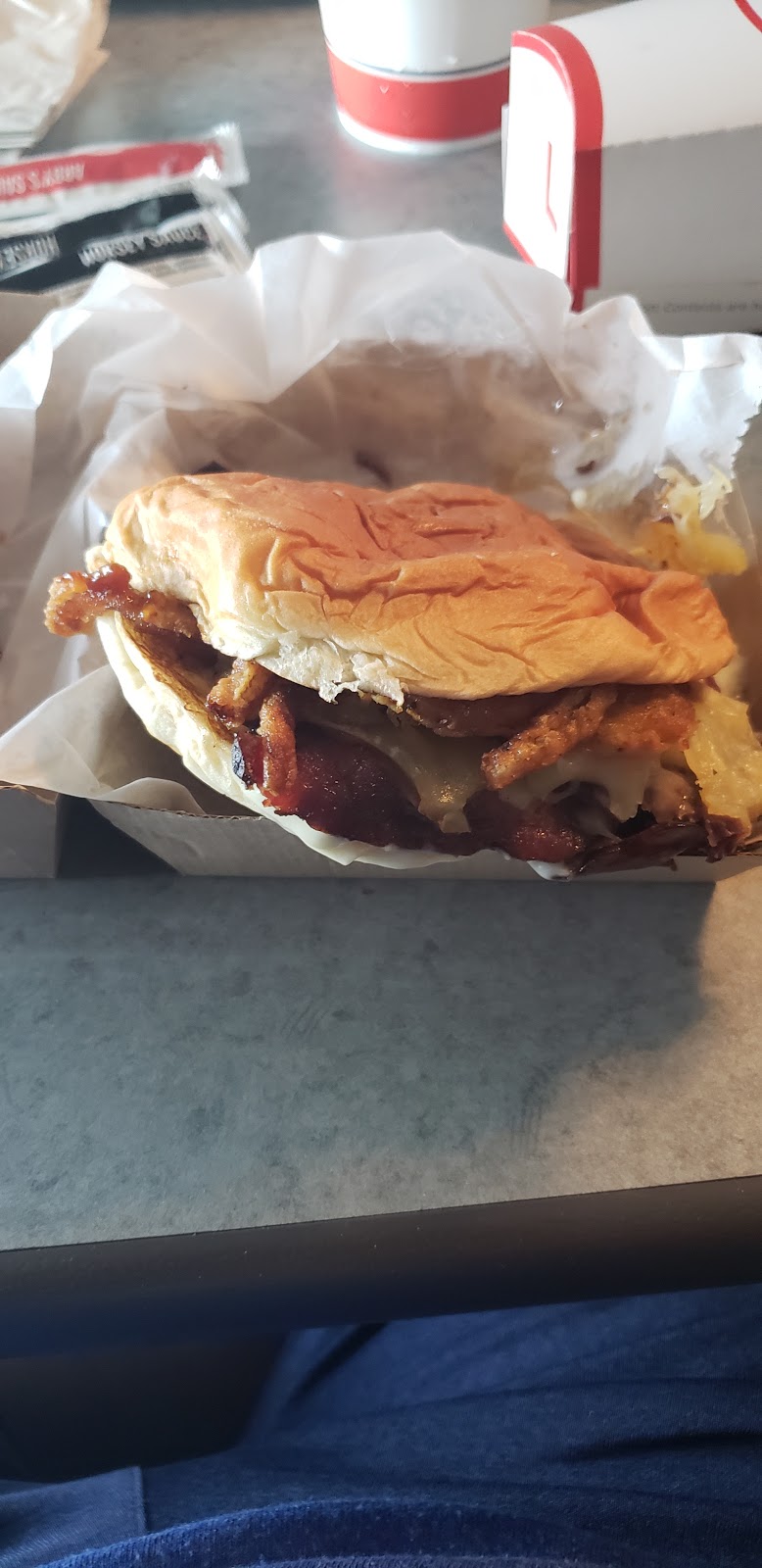 Arbys | meal takeaway | 3771 South, US-231, Ozark, AL 36360, USA | 3344450323 OR +1 334-445-0323