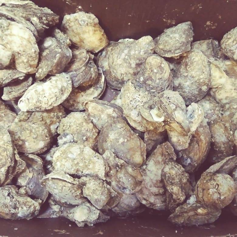 Cypress Point Store ???? | restaurant | 904 St Johns Ave, Palatka, FL 32177, USA | 3863263842 OR +1 386-326-3842