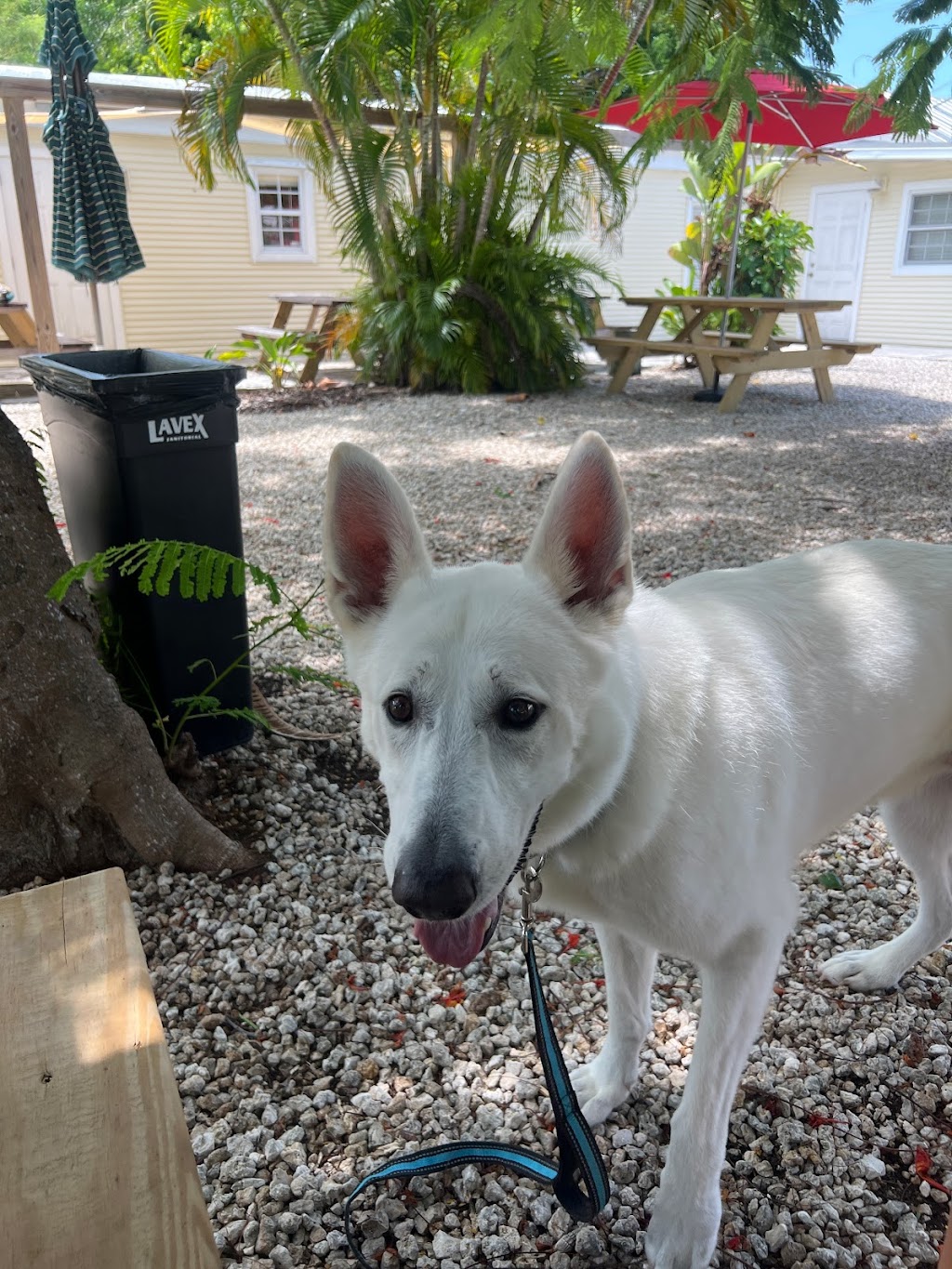 Take Two Kitchen | restaurant | 81927 Overseas Hwy, Islamorada, FL 33036, USA | 3055874223 OR +1 305-587-4223