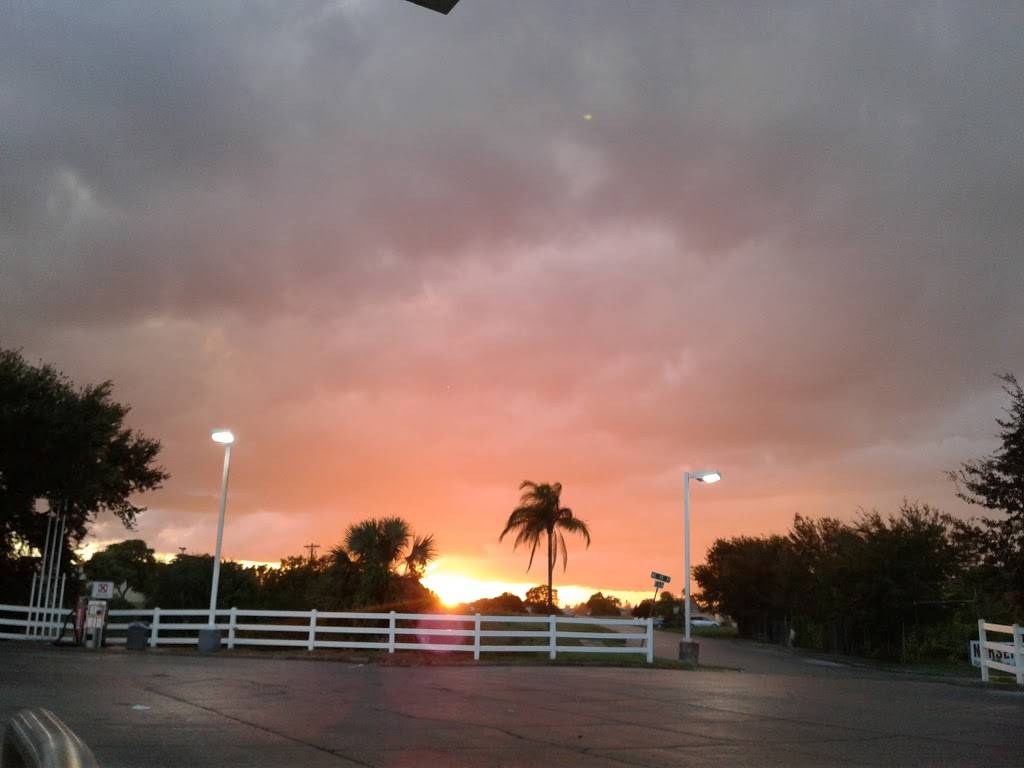 Circle K | cafe | 1523 NE Pine Island Rd, Cape Coral, FL 33909, USA | 2397723993 OR +1 239-772-3993