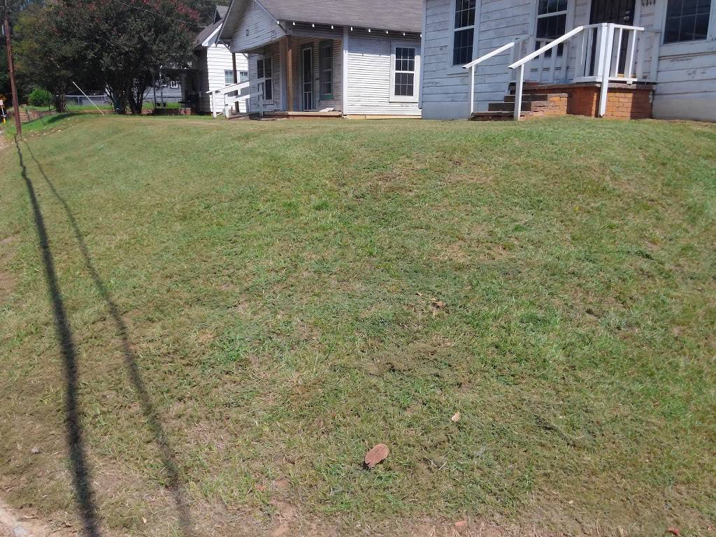 Jalisco Tacos | restaurant | 1003 Martin Luther King Jr Blvd, Nacogdoches, TX 75961, USA | 9365609800 OR +1 936-560-9800