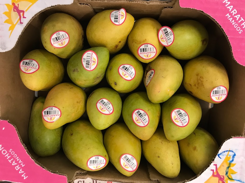 Imtiaz Grocery Halal Meat Market And Restaurant | restaurant | 24170 Ford Rd, Porter, TX 77365, USA | 2815774070 OR +1 281-577-4070