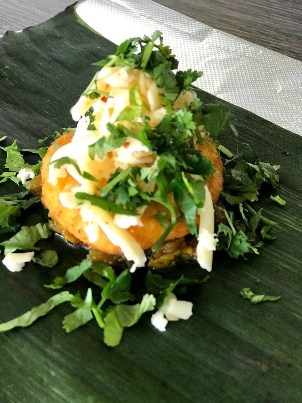 Maya Grill | restaurant | 176 Center Ln, Levittown, NY 11756, USA | 5163306223 OR +1 516-330-6223