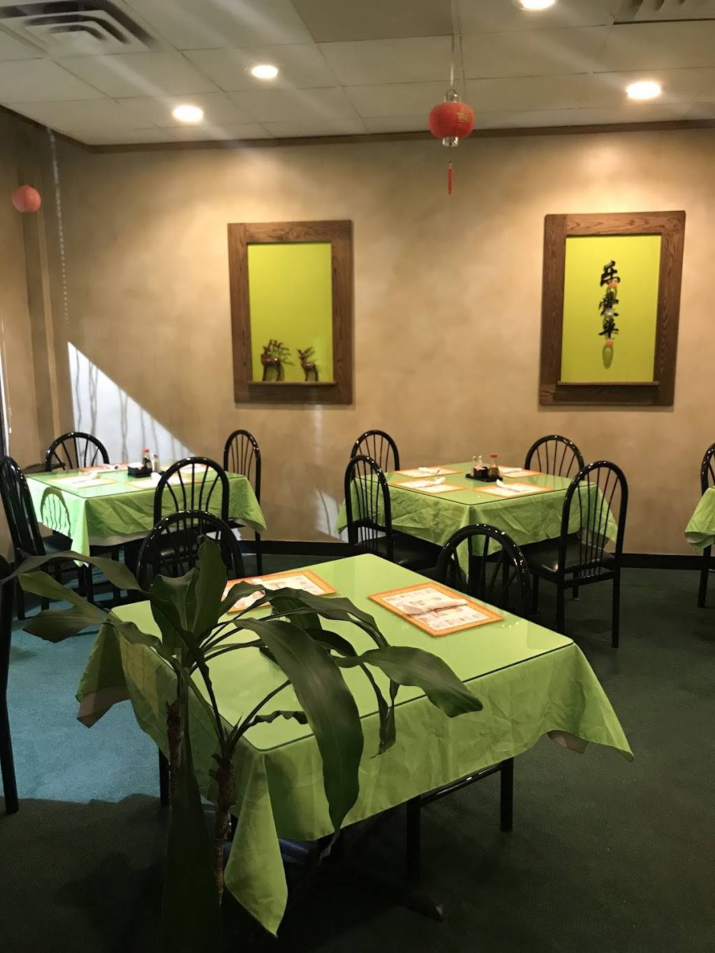 Sun Luck Garden Chinese Food | restaurant | 1901 S Taylor Rd, Cleveland Heights, OH 44118, USA | 2163977676 OR +1 216-397-7676