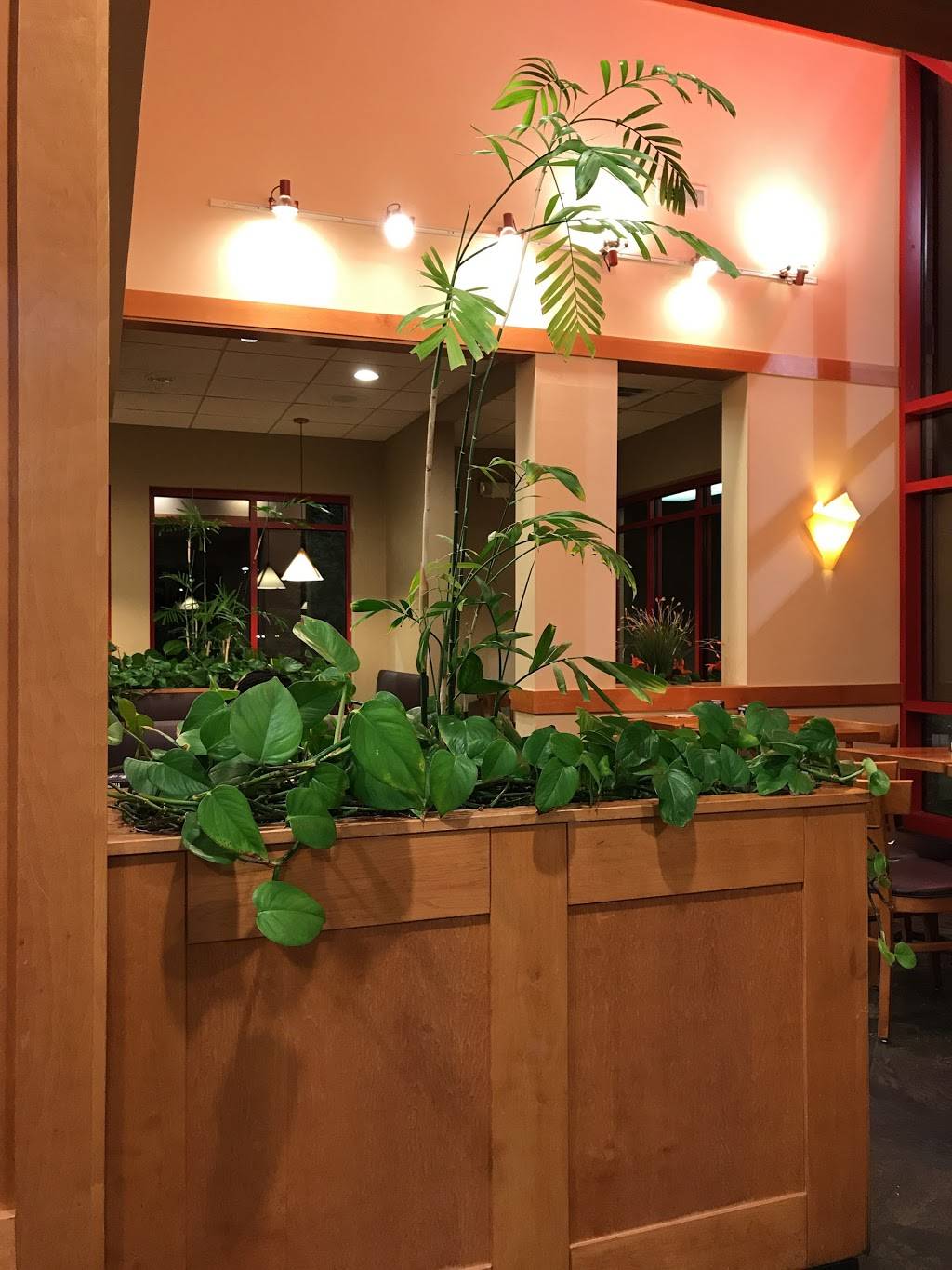 Arbys | restaurant | 2330 W Indian Trail, Aurora, IL 60506, USA | 6309079451 OR +1 630-907-9451