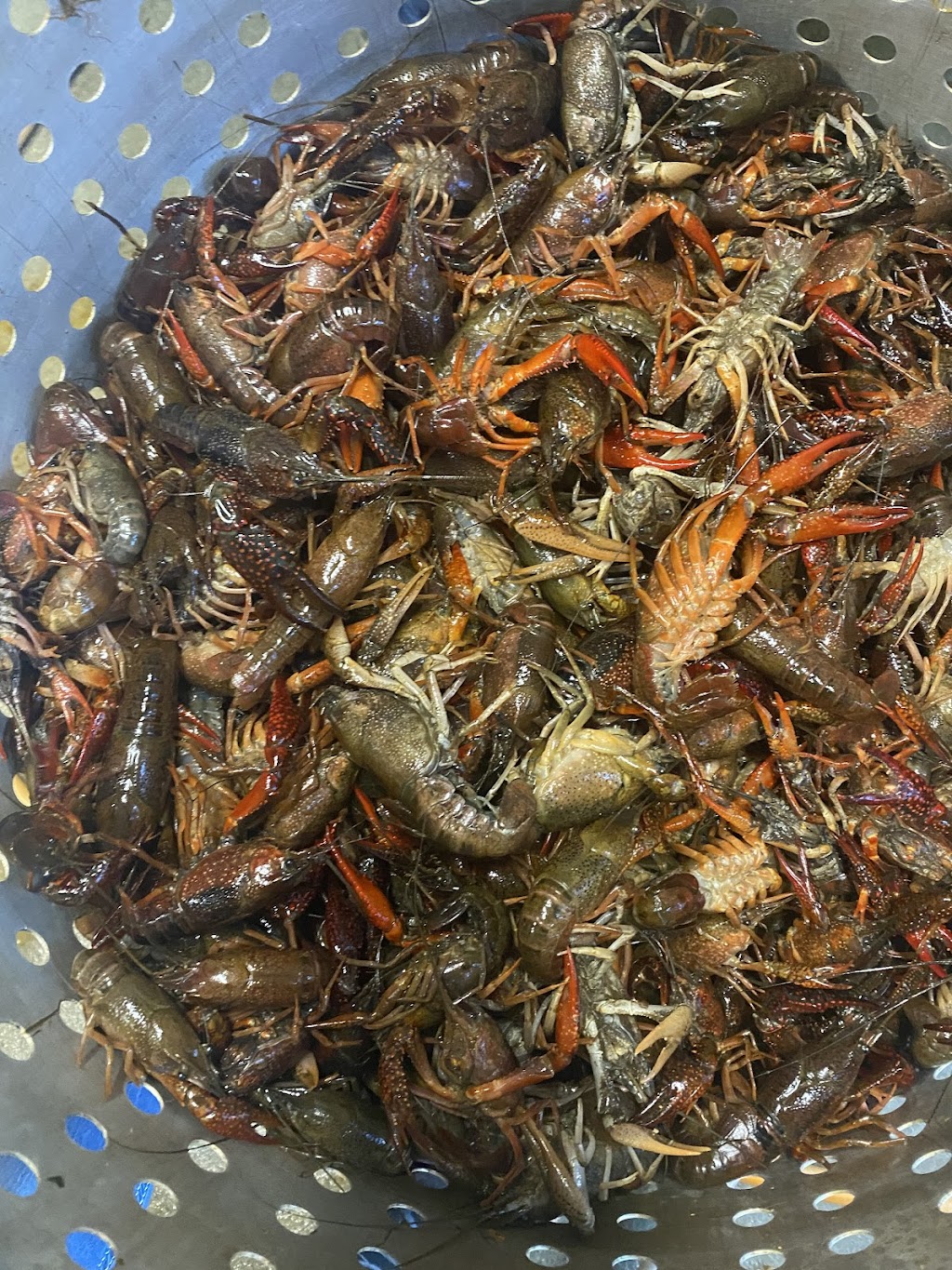 M&Ms Crawfish Shack | restaurant | 17607 U.S. Hwy 190, Port Barre, LA 70577, USA | 3379454181 OR +1 337-945-4181