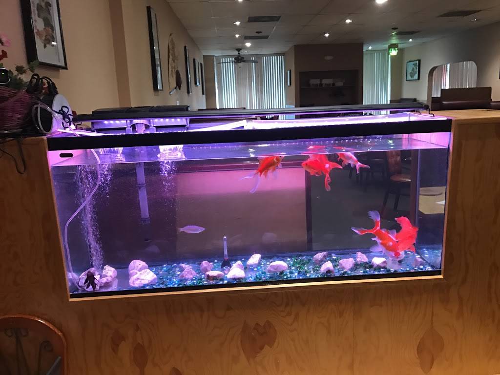 Wing Wah Restaurant | restaurant | 509 Reisterstown Rd, Pikesville, MD 21208, USA | 4106530606 OR +1 410-653-0606