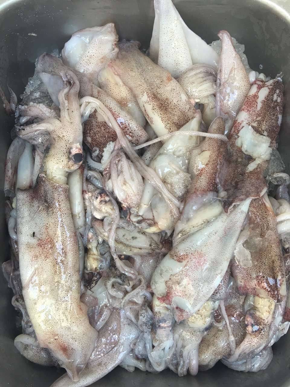 WILD ATLANTIC SEAFOOD | restaurant | 622 Cassat Ave, Jacksonville, FL 32205, USA | 9045517595 OR +1 904-551-7595