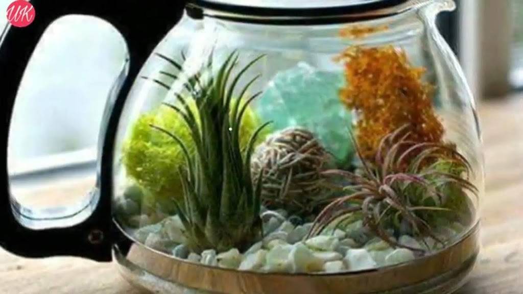 Royal Fish and Chicken | restaurant | 2407 N Sherman Dr, Indianapolis, IN 46218, USA | 3177440518 OR +1 317-744-0518