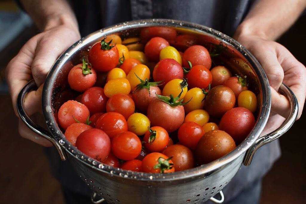 Vinaigrette Salad Kitchen | restaurant | 203 N Hurstbourne Pkwy, Louisville, KY 40222, USA | 5022059933 OR +1 502-205-9933