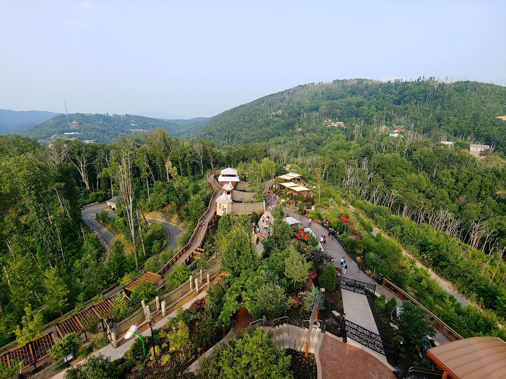 Anakeesta | restaurant | 576 Parkway, Gatlinburg, TN 37738, USA | 8653252400 OR +1 865-325-2400