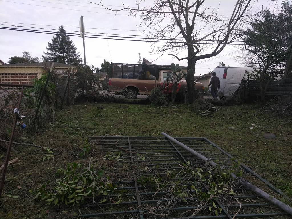 Pizza Express | restaurant | 19573 Center St, Castro Valley, CA 94546, USA | 5108863466 OR +1 510-886-3466