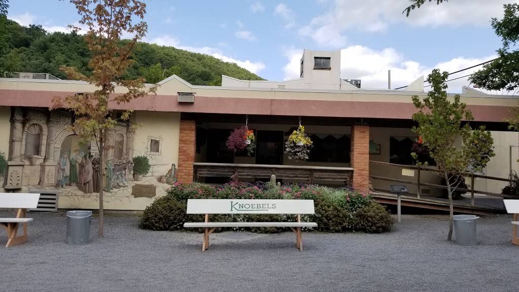 Alamo Restaurant | restaurant | 391 Knoebels Blvd, Elysburg, PA 17824, USA | 5706722031 OR +1 570-672-2031