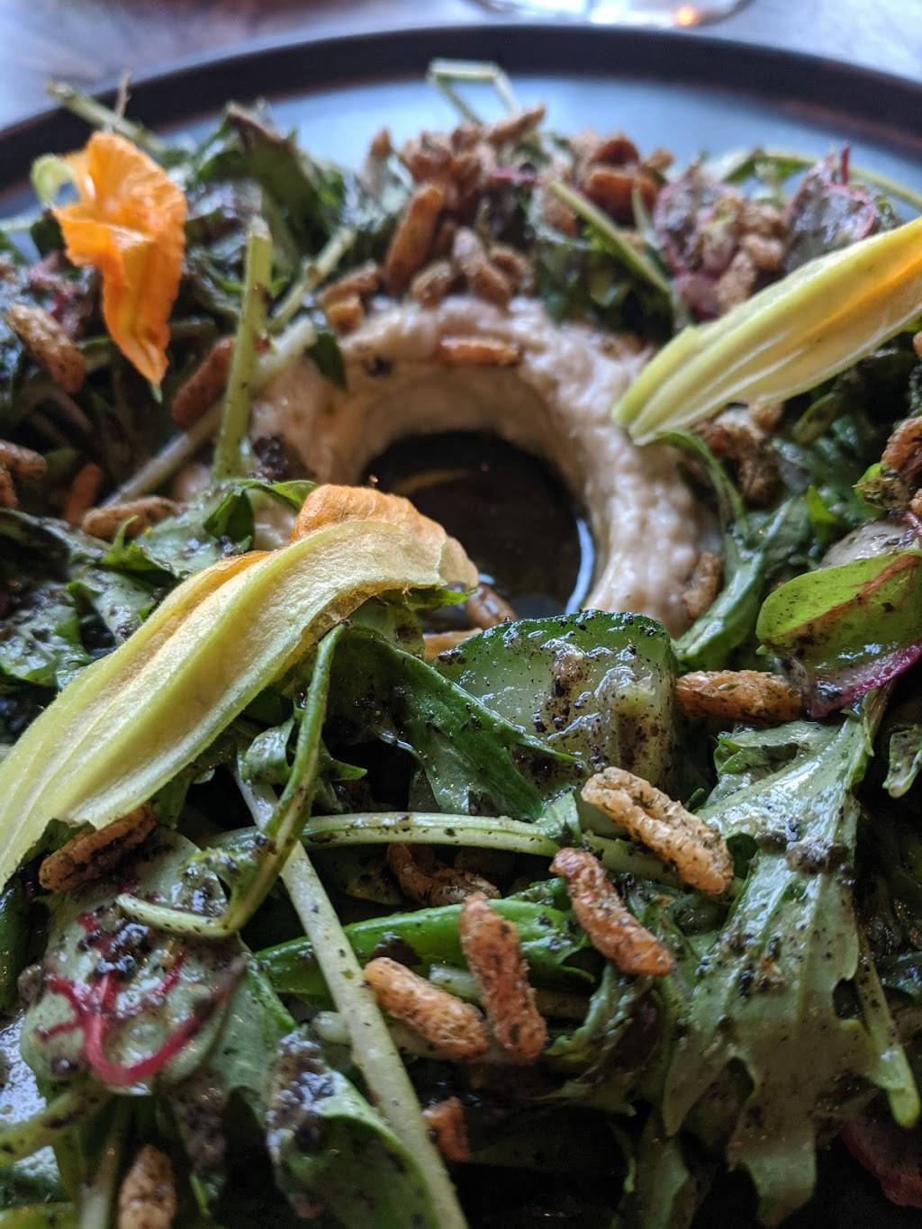 Woods Hill Table | restaurant | 24 Commonwealth Ave, Concord, MA 01742, USA | 9782541435 OR +1 978-254-1435