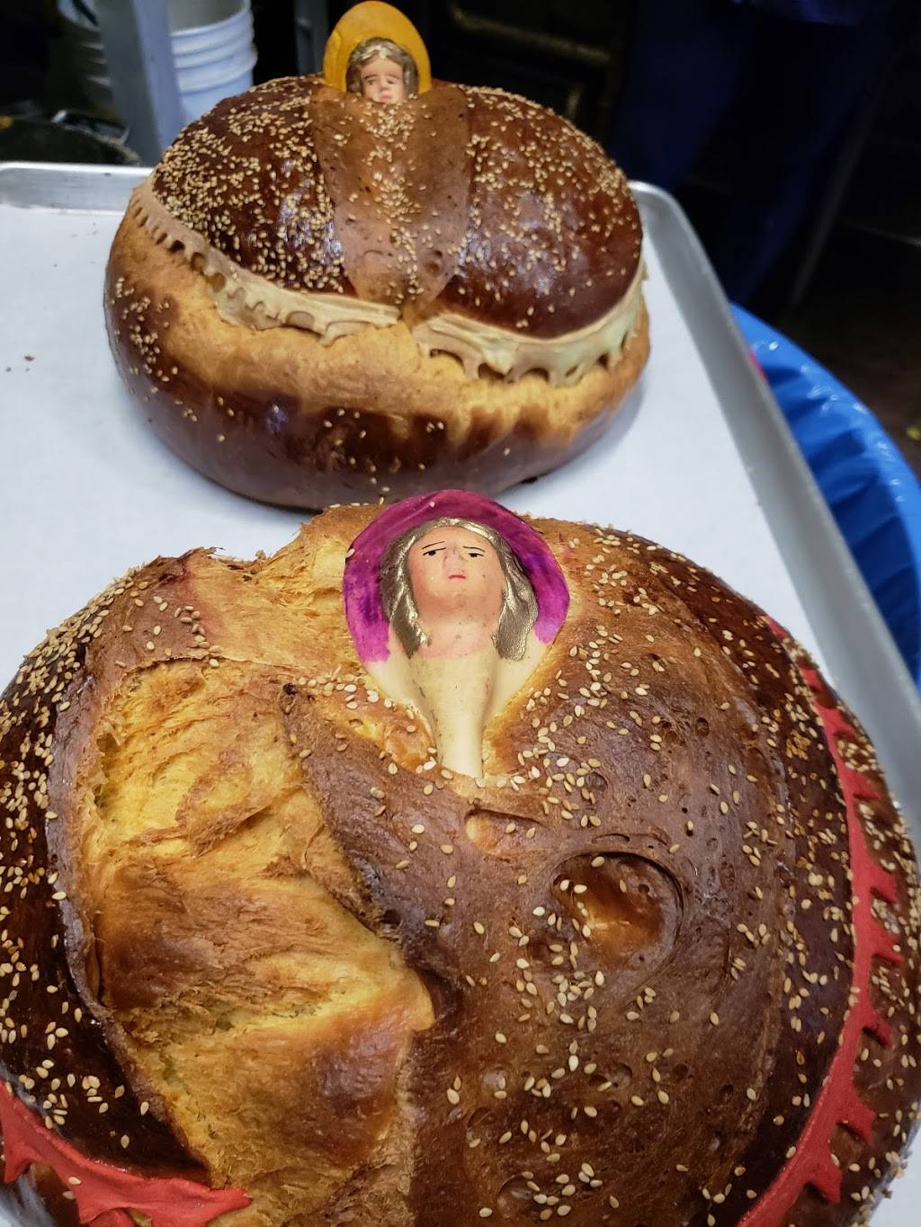 El Porvenir Bakery | restaurant | 2273 W Washington Blvd, Los Angeles, CA 90018, USA | 3237356323 OR +1 323-735-6323